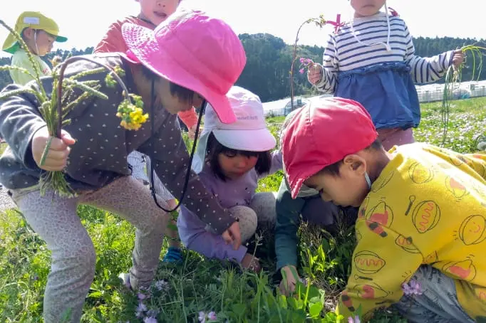 草花を見ながら遊んでいる子どもたち
