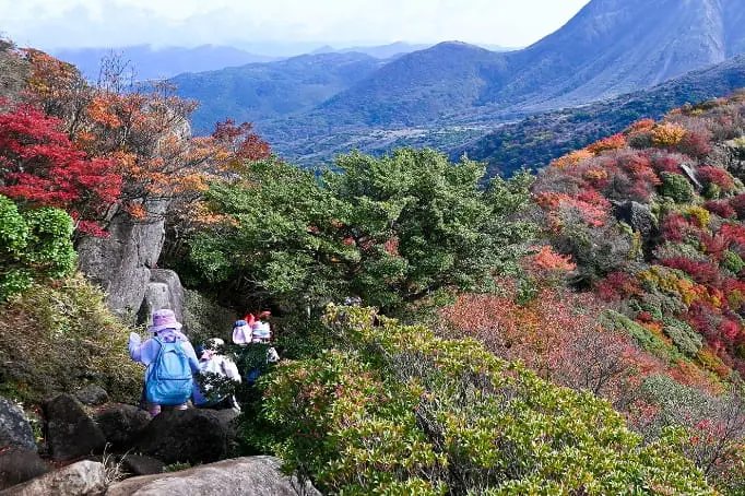 紅葉が綺麗な山を登る様子