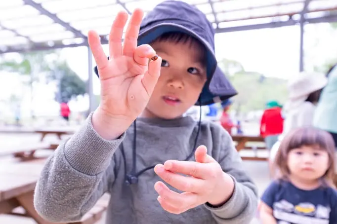 外で散歩する園児たち