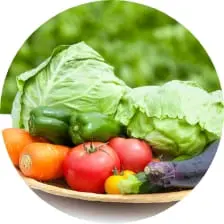 旬の野菜が並ぶ写真