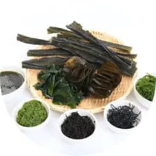 昆布やわかめなどの海藻