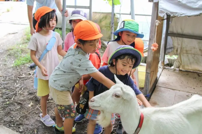 ヤギを触る子どもたち