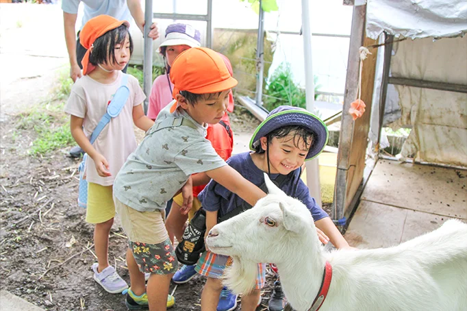 ヤギを触る子どもたち