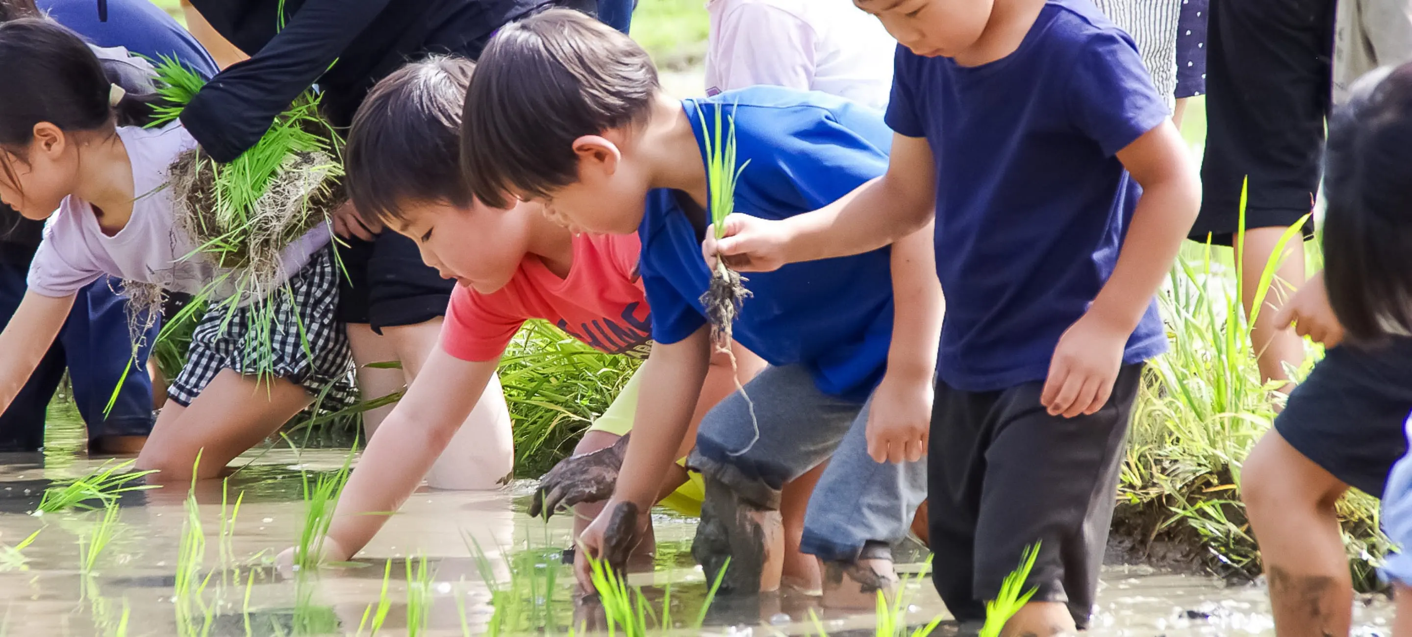子供たちが泥だらけになって遊ぶ様子