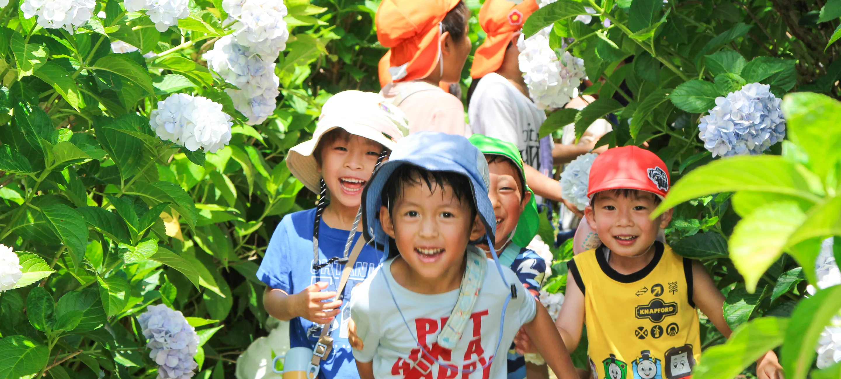 子供たちが遊ぶ様子